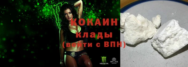 индика Кукмор