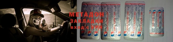 прущие грибы Красноперекопск