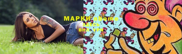 индика Кукмор