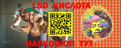 гидра Донецк