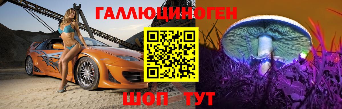Псилоцибиновые грибы Psilocybine cubensis Урай